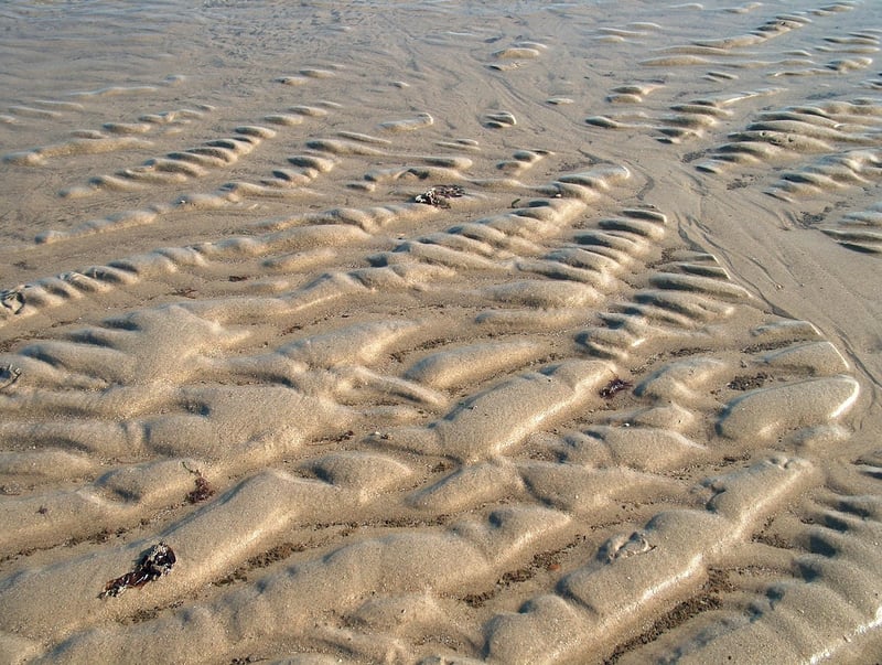 Nazca Lines