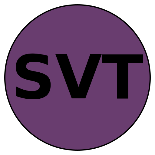 Stellar Value Travel